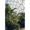 Eden Project gardens UK - Piante - 