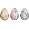 Egg - Ilustracije - 