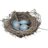 Egg nest - Artikel - 