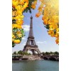 Eiffel tower - Figure - 