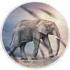 Elefant - Animais - 