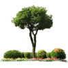 Tree - Растения - 