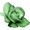 Emerald　flower - Plants - 