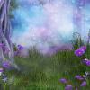Enchanted Forest - Ilustracije - 