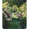 English Garden - Natureza - 