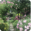 English Garden - Narava - 