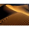Pustinja - Priroda - 