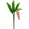 Exotic_Red_Tropical_Flower_PNG_Clip_Art_ - 植物 - 