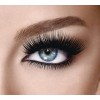EyeLash eye-makeup - Cosmetics - 