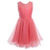 FAIRY COUPLE Girl's Floral Lace V Back Ruffled Party Dress K0191 - Dresses - $59.99 