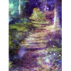 Fairy forest - Natura - 