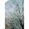 Fairy Lights - Background - 