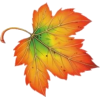 Fall Leaf - Items - 