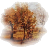 Fall Tree - Rascunhos - 