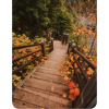 Fall - Nature - 