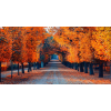 Fall - Priroda - 