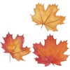 Fall leaves - Ilustracje - 