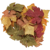 Fall leaves - Illustrazioni - 
