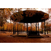 Fall park - Природа - 