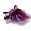 Fascinator - Hat - 