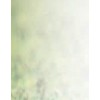 Fashion Background - Pozadine - 