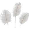 Feathers - Items - 