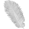 Feathers - Articoli - 