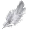 Feathers - Items - 