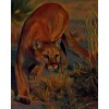 Female Lion - Resto - 