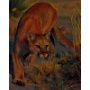 Female Lion - Ostalo - 