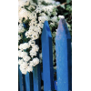 Fences - Items - 