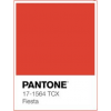 Pantone 17-1564 Fiesta - Uncategorized - 