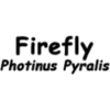 Firefly - Textos - 