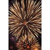 Fireworks - Uncategorized - 