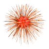 Fireworks - Lichter - 