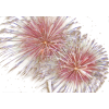 Fireworks - イラスト - 