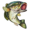 Fish - Ilustracije - 