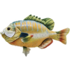 Fish - Predmeti - 