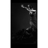Flamenca - My photos - 
