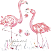 Flamingo Art - イラスト - 