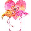 Flamingo Love text - Resto - 