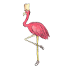 Flamingo - Zwierzęta - 