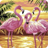 Flamingo - Illustrazioni - 