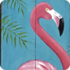 Flamingo - Иллюстрации - 
