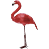 Flamingo - Illustrations - 