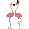 Flamingo - Illustraciones - 