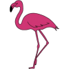 Flamingo - イラスト - 