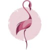 Flamingo - Ilustracje - 