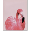Flamingo - Illustrations - 