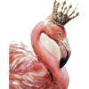 Flamingo - Predmeti - 